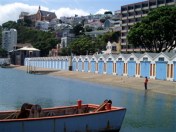 Wellington Harbour - Boatsheds. Image Robyn Moore